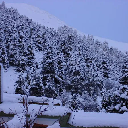 Montana Karpenísion