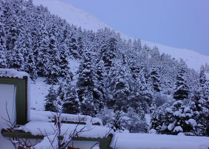 Montana Karpenísion